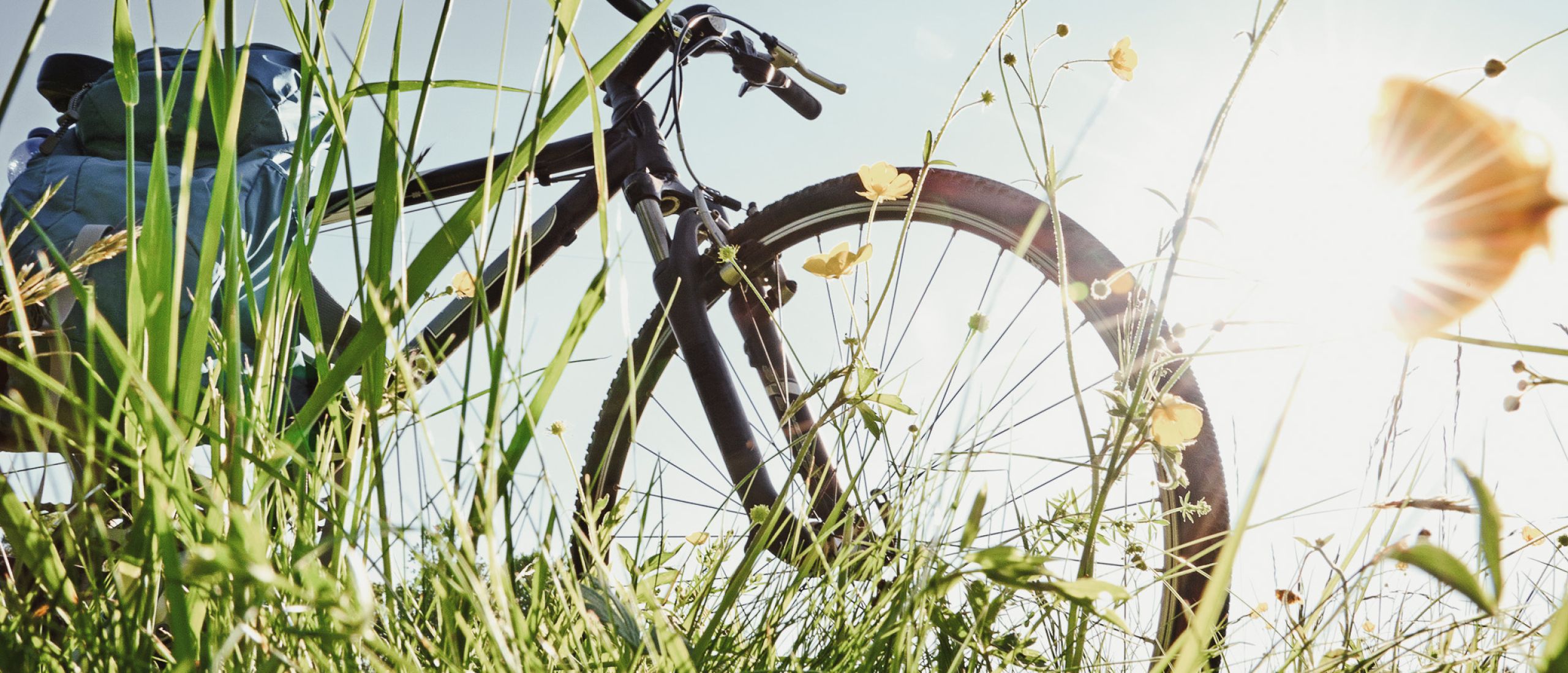 Ein Fahrrad steht im Gras unter der Sonne, bereit für Abenteuer an der Nordsee, ideal für Erkundungen in Norddeich